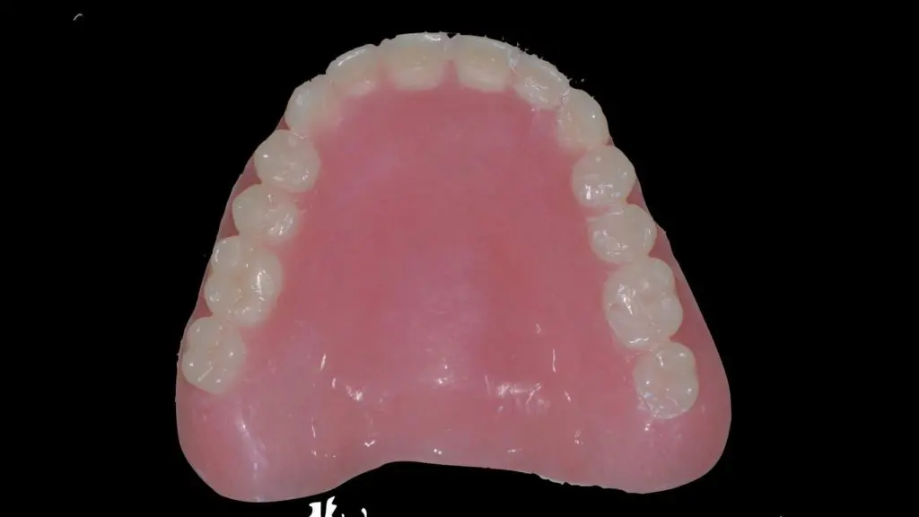 S 23101479